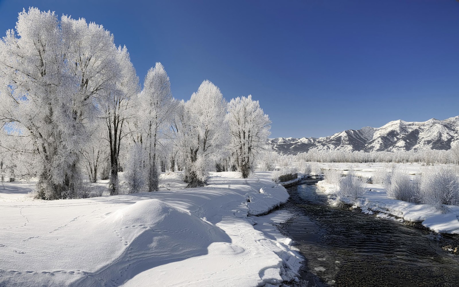 ... of nature in winter sunlight in winter beautiful snowfall winter