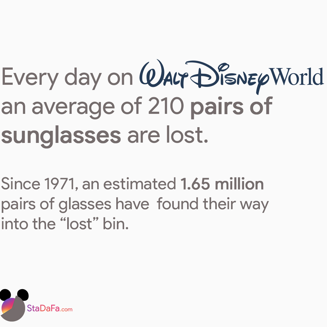 Every day on Walt Disney World, an average of 210 pairs of sunglasses are lost