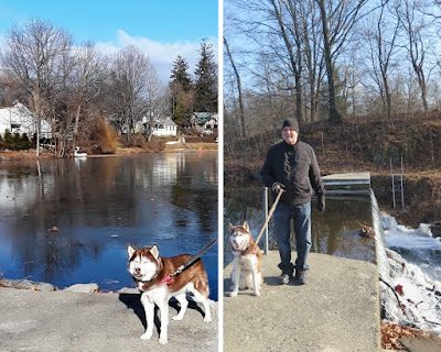 Park and lake in the town of Rhinebeck, New York.  Dogs are allowed in this Rhinebeck park.  Dog friendly, Pet friendly, dog friendly places in upstate New York