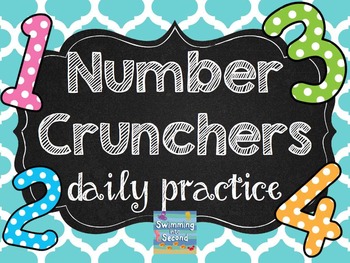 http://www.teacherspayteachers.com/Product/Number-Crunchers-daily-practice-Grade-2-1317697