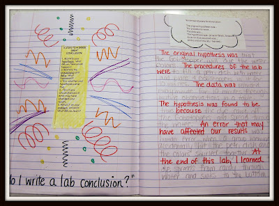 hypothesis sentence starters science