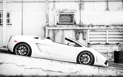 White Lamborghini Gallardo Spider Adv1 HD Wallpaper