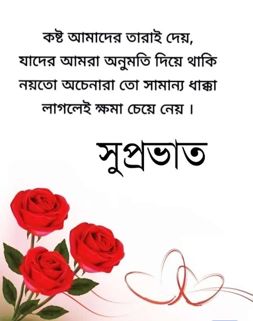 Beautiful Good Morning Images In Bengali