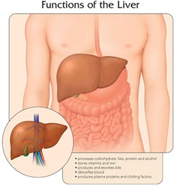 hepatitis