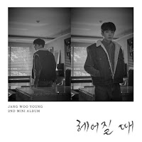 Download Lagu MP3, Music Video MV, Lyrics Jang Wooyoung (2PM) – Party Shots