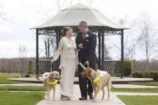 Casal de cegos casou-se após seus cães-guias se apaixonarem. Dois cegos proprietários de cães-guias se casaram depois que seus cães os fizeram se conhecer e se apaixonar. Claire Johnson, de 50 anos, e Mark Gaffey, de 51, se casaram em Baralston, Stoke-on-Trent, na Inglaterra, depois de seus cachorros se apaixonarem um pelo outro há dois anos. Os cães-guias, Venice e Rodd, fizeram o casal se apaixonar quando caminhavam com seus donos.Os recém-casados se conheceram em 2012 em um curso de formação de cães-guias, que durou duas semanas.Foi evidente que Rodd e Veneza se apaixonaram, tocando e cheirando um ao outro durante todo o treinamento.A noiva disse: “Eu não tenho nenhuma dúvida de que nossos cães-guias nos colocaram juntos e me ajudaram a encontrar meu verdadeiro amor.”Quando o treinamento terminou, suas vidas mudaram para sempre.Descrição: Foto. Ao centro, sob o céu com névoa, os noivos, à esquerda, Claire e à direita, Mark. Eles seguram as guias de Venice, à direita de Claire e Rodd, à esquerda de Mark. Os noivos miram-se sorrindo, do mesmo modo Venice e Rodd trocam olhares. Claire é uma mulher de pele alva, usa uma discreta tiara sobre os cabelos castanhos bem claros presos em coque, casaco de malha leve sobre vestido bege de cetim longo e sapatos de salto baixo no mesmo tom. Mark é um homem de pele branca, alto, cabelos grisalhos e curtos, usa óculos de lentes grossas, terno preto sobre camisa cinza e gravata com listras diagonais em branco e grafite, na lapela, uma rosa amarela e no bolso do paletó, um lenço cinza. Venice é uma labradora com pelagem bege e é menor que Rodd, um labrador com pelagem café com leite, preso às guias, um pequeno e franzido véu enfeita os cães. Ao fundo, um coreto com estrutura em ferro coberto por telhado claro, ao redor, o gramado, arbustos e árvores nuas sobrepostas ao céu com névoa complementam o cenário.