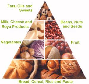 food guide pyramid