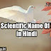Scientific Name Of Birds | कौनसे पक्षियों के वैज्ञानिक नाम क्या है ? 