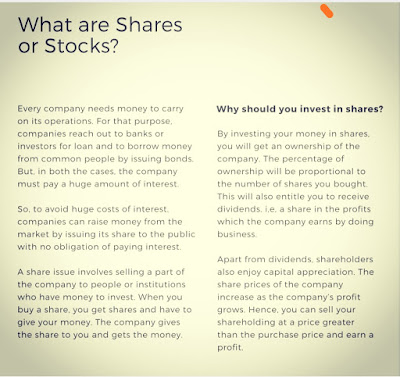 What are Shares or Stocks