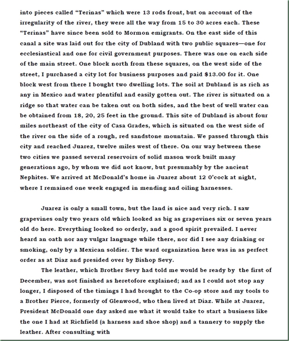 Borg Journal 33