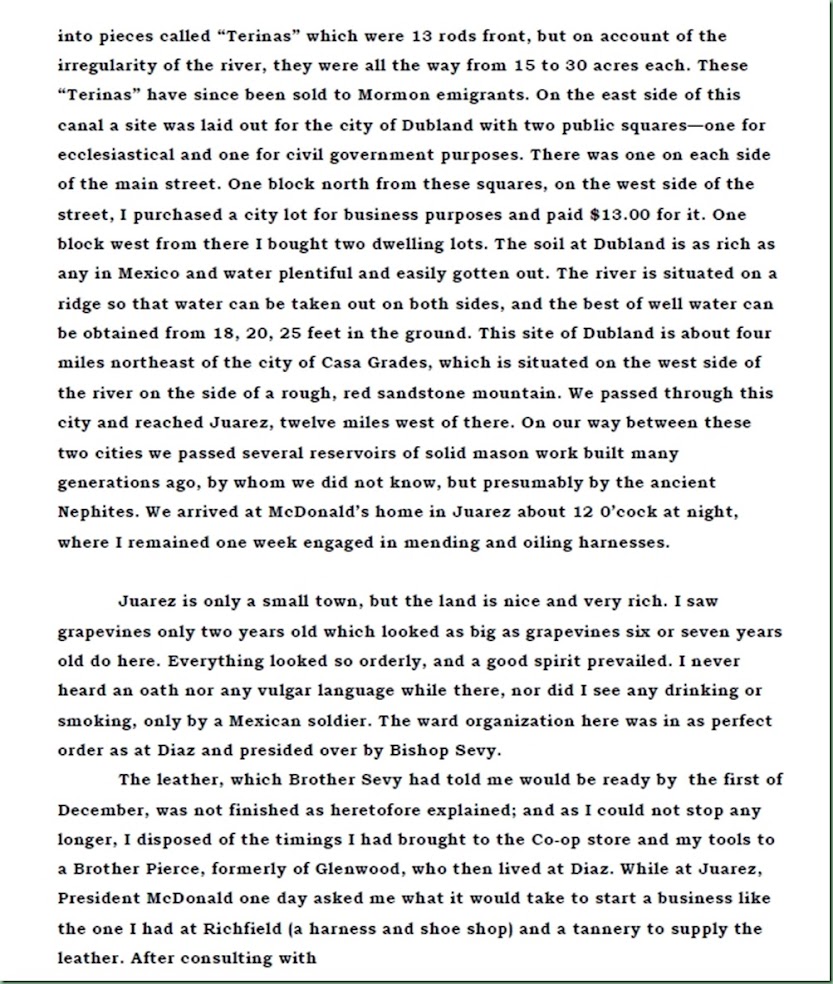 Borg Journal 33
