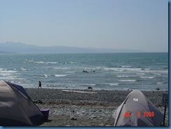 They're swimming in the Gulf of Alaska