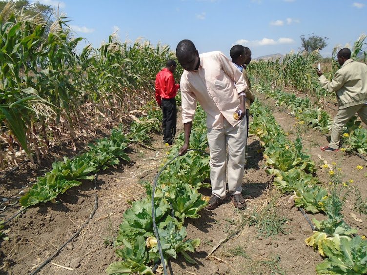 Water,Soil and Environmental Conservation