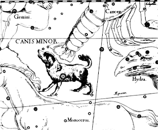 Образ на съзвездието Малко куче | Canis Minor