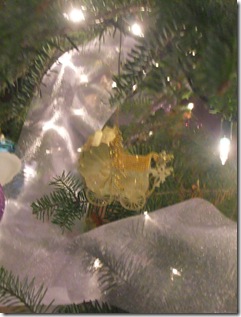 DSCF5891