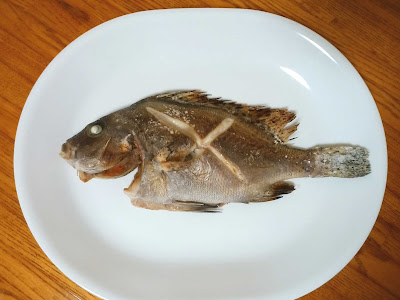 [最も好ましい] コショウダイ 味 500155-コショウダイ 料理 味