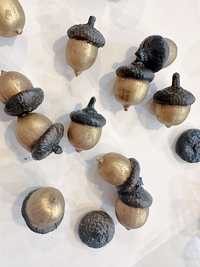 gold acorns with black caps