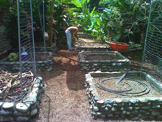 raised vegetable beds, La Ceiba, Honduras