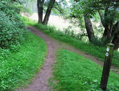 A branch in the path, Deeside walks