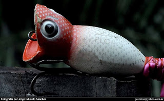 el roble taller de pesca señuelos del argentina del argentinian fishing lures 