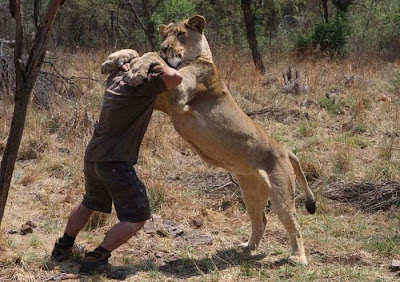 The Lion Whisperer -  Kevin Richardson Seen On www.coolpicturegallery.us