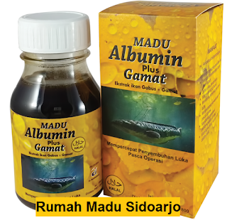 TEMPAT YANG MENJUAL MADU ALBUMIN PLUS GAMAT DI SIDOARJO