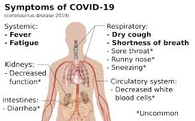 Coronavirus-Guide-Symptoms-Testing-Treatment