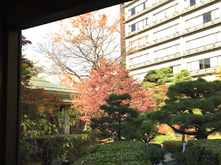 緑亭の入口から見える日本庭園