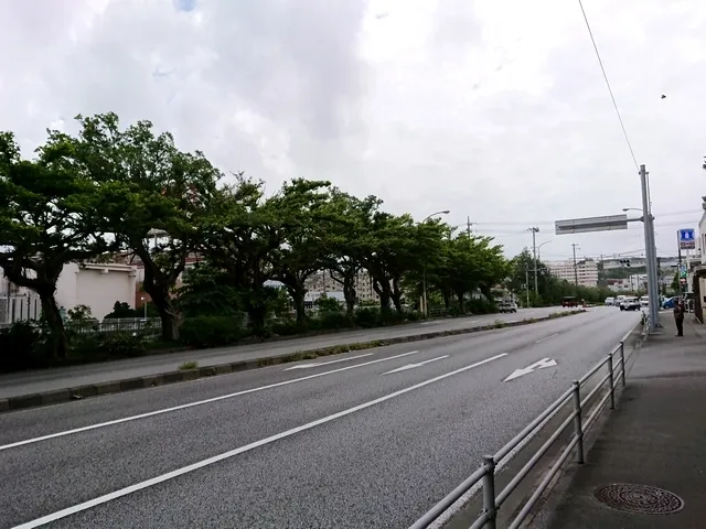 MAKIMINATO [prefectural road] 1