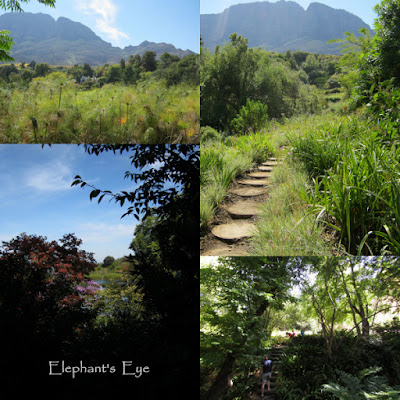 Tokara garden