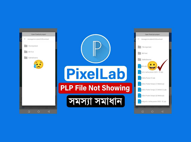 pixellab plp file not showing