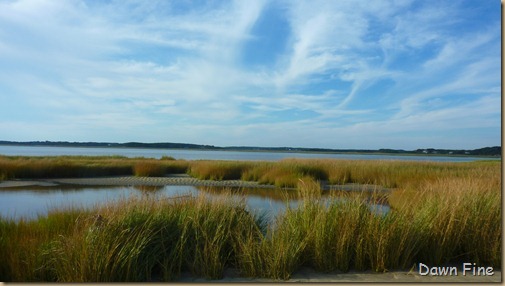 Wellfleet Audubon_010