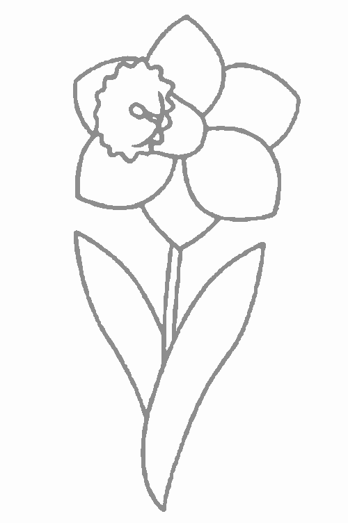 Cara Menggambar Bunga  Bakung  Lily Contoh Anak PAUD