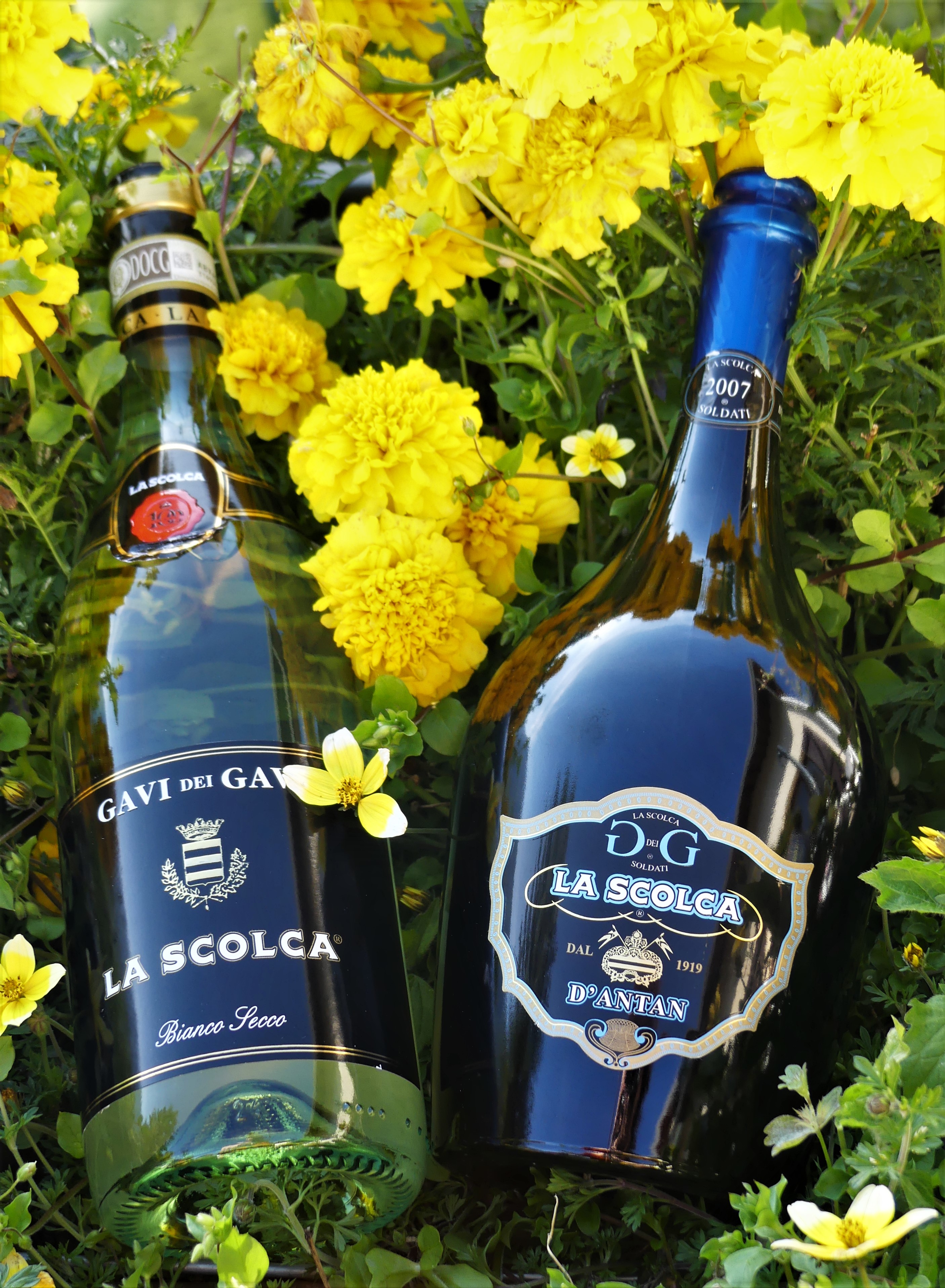 La scolca