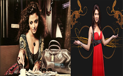 Priyanka Chopra, Aishwarya Rai, Bollywood Gossips, Heroine