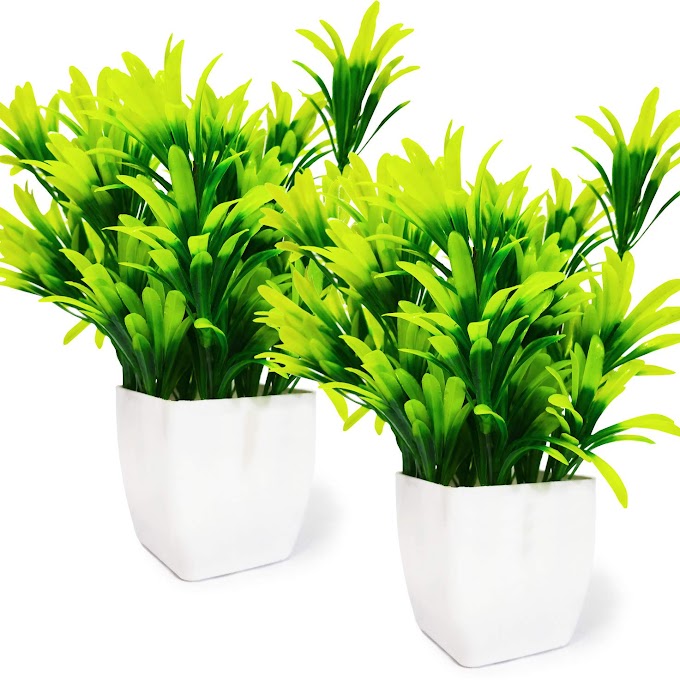 WoodZone Set of 2 Indoor Plant Artificial with Pot for Home Decoration Items | Artificial Green Plants | Artificial Flora