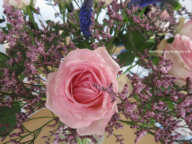 Rosen, Veronika, Limonium in der Vase