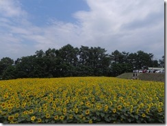 DSCN8203