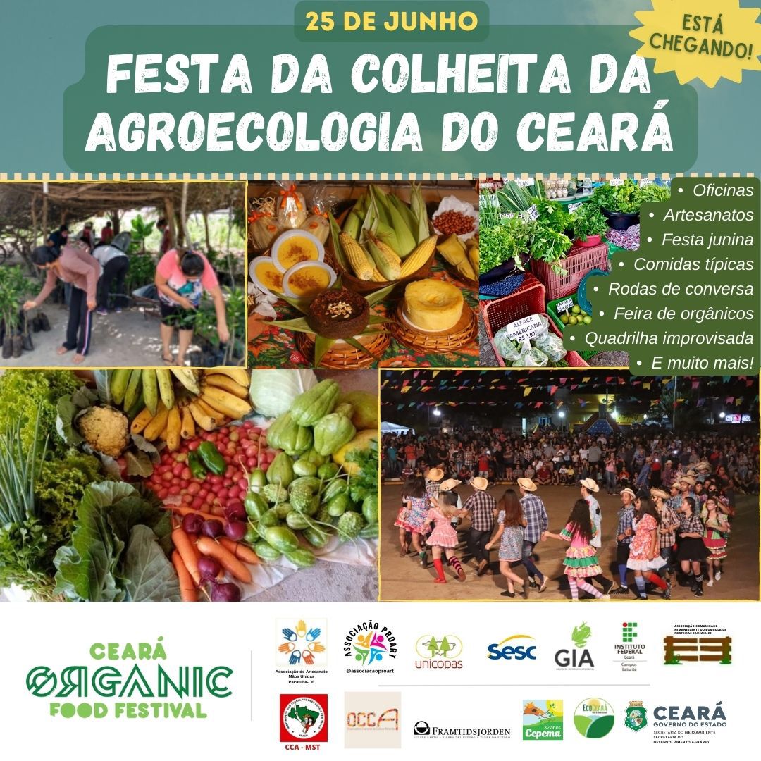 Agrofloresta e escola uma experiência de educação e sustentabilidade  ambiental na escola de ensino médio adahil barreto, município de cariús,  ceará