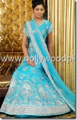 latest saari. indian saari. pakistani saari. pakistani bridial dress lehnga choli (2)