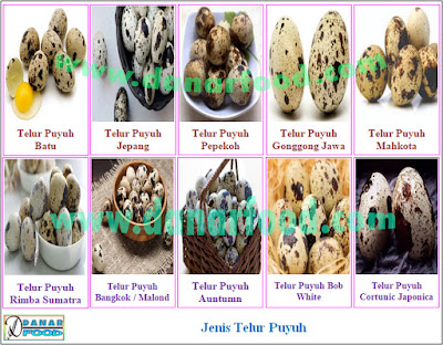 Agen Aneka Jenis Telur Puyuh / Reseller Aneka Jenis Telur Puyuh / Distributor Aneka Jenis Telur Puyuh / Produsen Aneka Jenis Telur Puyuh / Supplier Aneka Jenis Telur Puyuh / Pabrik Aneka Jenis Telur Puyuh / Dealer Aneka Jenis Telur Puyuh / Importir Aneka Jenis Telur Puyuh / Eksportir Aneka Jenis Telur Puyuh / Dropshipper Aneka Jenis Telur Puyuh / Industri Aneka Jenis Telur Puyuh / Stockist Aneka Jenis Telur Puyuh / Perusahaan Aneka Jenis Telur Puyuh / Grosir Aneka Jenis Telur Puyuh / Kios Aneka Jenis Telur Puyuh / Stand Aneka Jenis Telur Puyuh / Pemasok Aneka Jenis Telur Puyuh / Pedagang Aneka Jenis Telur Puyuh / Penyalur Aneka Jenis Telur Puyuh / Penyuplai Aneka Jenis Telur Puyuh / Toko Aneka Jenis Telur Puyuh / Depot Aneka Jenis Telur Puyuh / Gerai Aneka Jenis Telur Puyuh / Kedai Aneka Jenis Telur Puyuh / Penjual Aneka Jenis Telur Puyuh / Warung Aneka Jenis Telur Puyuh / Jual Aneka Jenis Telur Puyuh / Beli Aneka Jenis Telur Puyuh / Usaha Dagang (UD) Aneka Jenis Telur Puyuh / Perseroan Terbatas (PT) Aneka Jenis Telur Puyuh / Commanditaire Vennontschap (CV) Aneka Jenis Telur Puyuh / Pengusaha Aneka Jenis Telur Puyuh / Juragan Aneka Jenis Telur Puyuh / Wirausaha Aneka Jenis Telur Puyuh / Wiraswasta Aneka Jenis Telur Puyuh / Usahawan Aneka Jenis Telur Puyuh / Saudagar Aneka Jenis Telur Puyuh / Penjaja Aneka Jenis Telur Puyuh / Toko Online Aneka Jenis Telur Puyuh / Broker Aneka Jenis Telur Puyuh / Bakul Aneka Jenis Telur Puyuh / Depo Aneka Jenis Telur Puyuh / Depo Waroeng Aneka Jenis Telur Puyuh