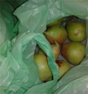 alimentos