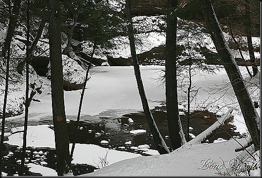 CedarFalls_CreekHollow