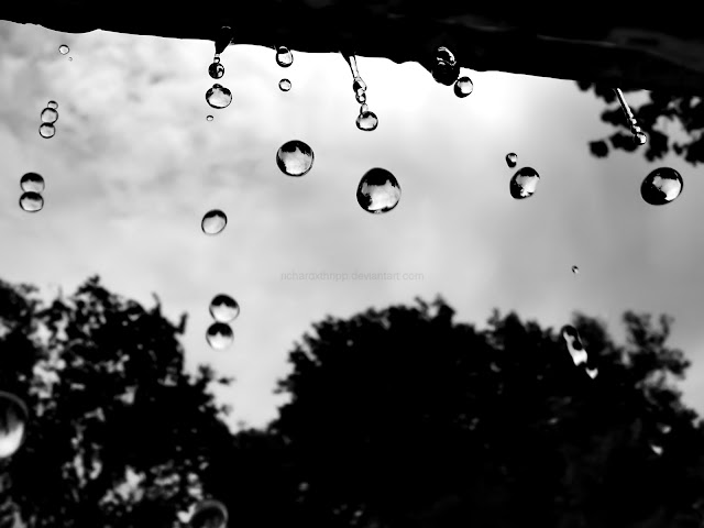 3D Rain Drops HD Wallpaper Free Download