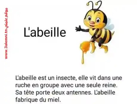 l'abeille l'abeille