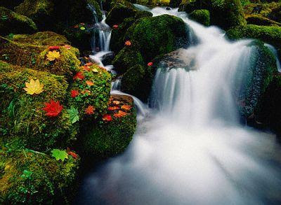 Free Waterfalls Images Wallpapers Download