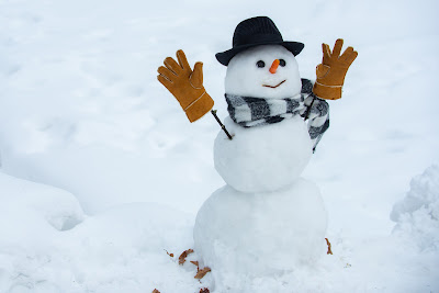 7 Benefits of Hiring Snow Removal Services this Winter title=