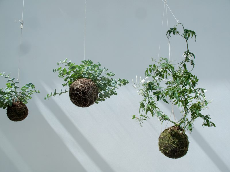 String Gardens