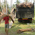 Keberadaan Rotan Cukup Membantu Warga