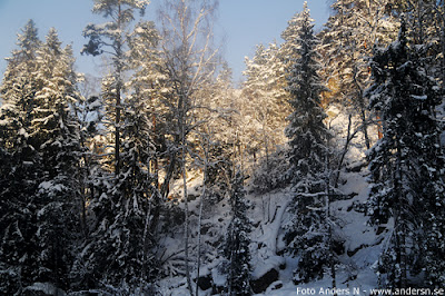 InterCity, snö, oväder, sammanbrott, tågkaos, snökaos, SJ, vinter, snöproblem, tåg, järnväg, foto anders n